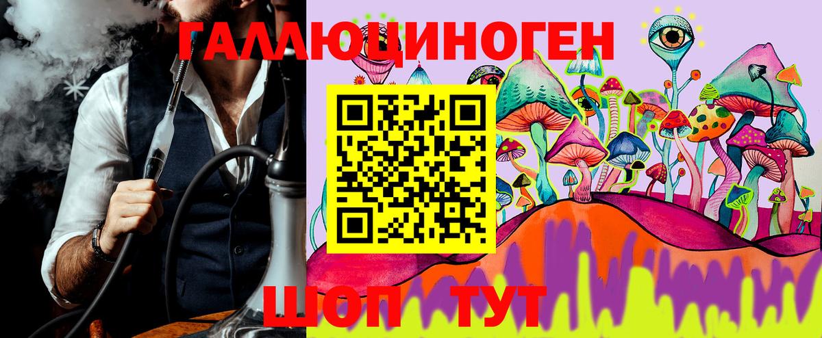 Галлюциногенные грибы прущие грибы Горно-Алтайск