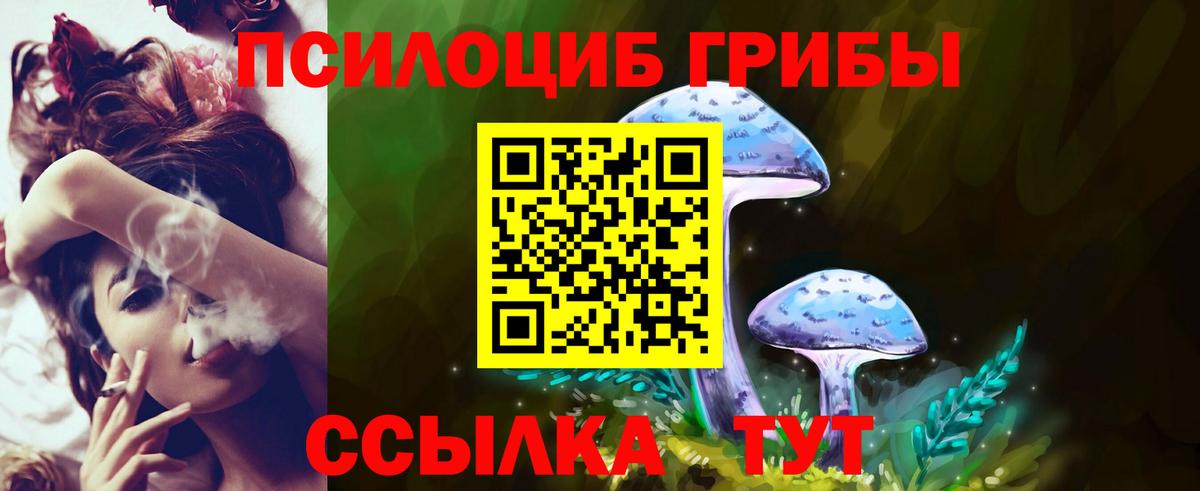 Горно-Алтайск  Галлюциногенные грибы ЛСД  Вход с VPN 